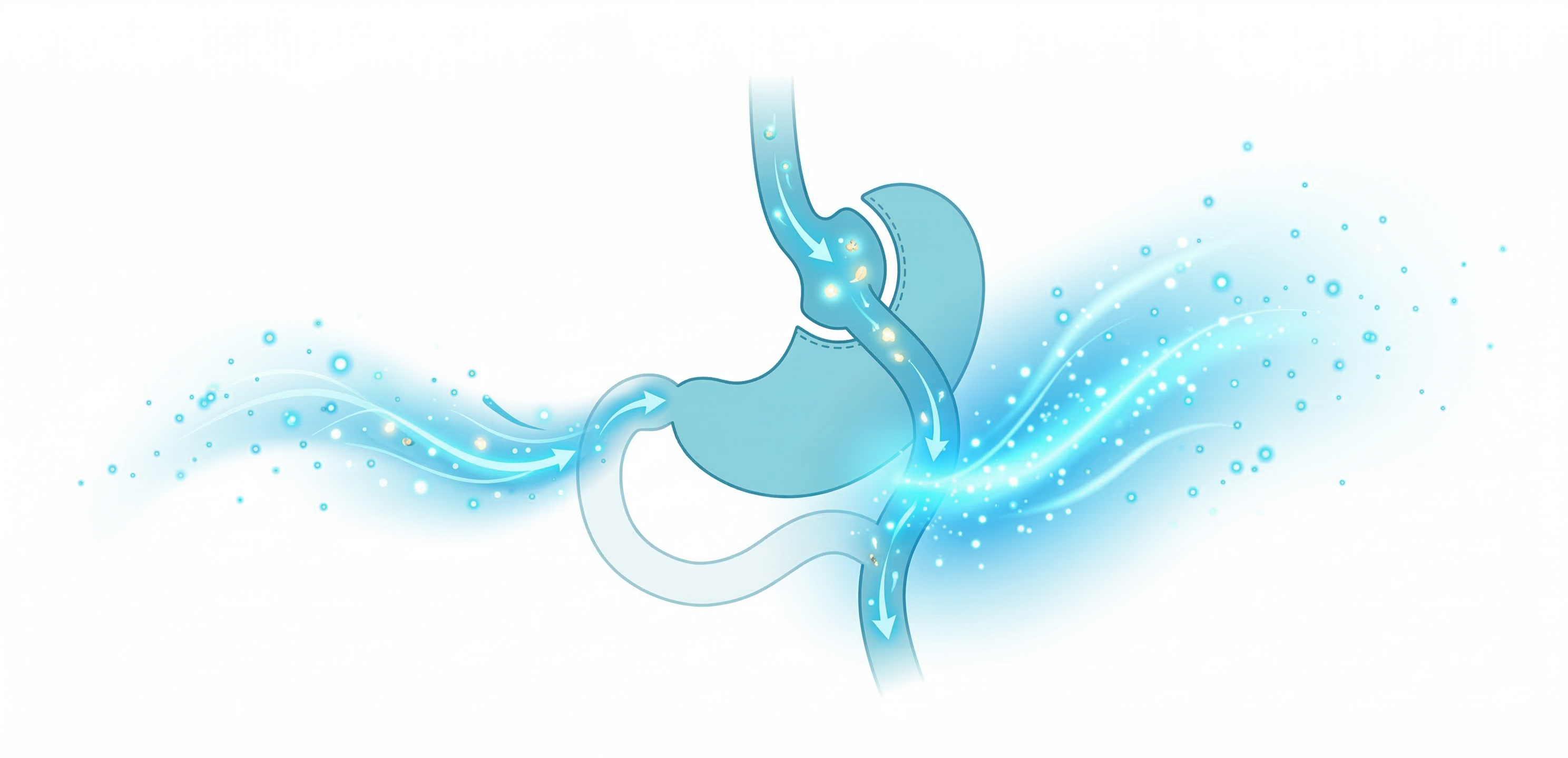 위 기능의 완전한 복구